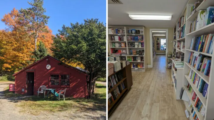 10 Well-Known Bookstores in Connecticut That Feel Bigger Inside Than You Expect
