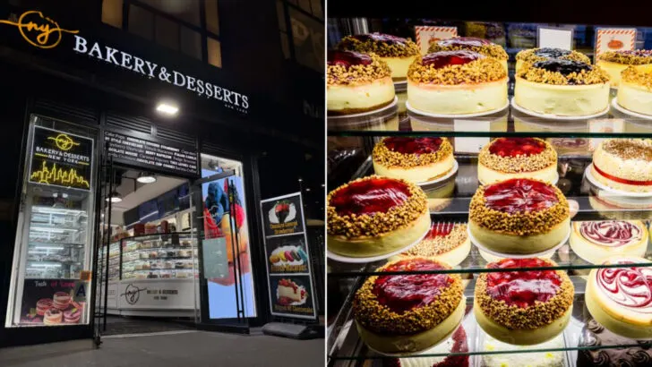 11 New York bakeries where the cheesecake is the main reason people go