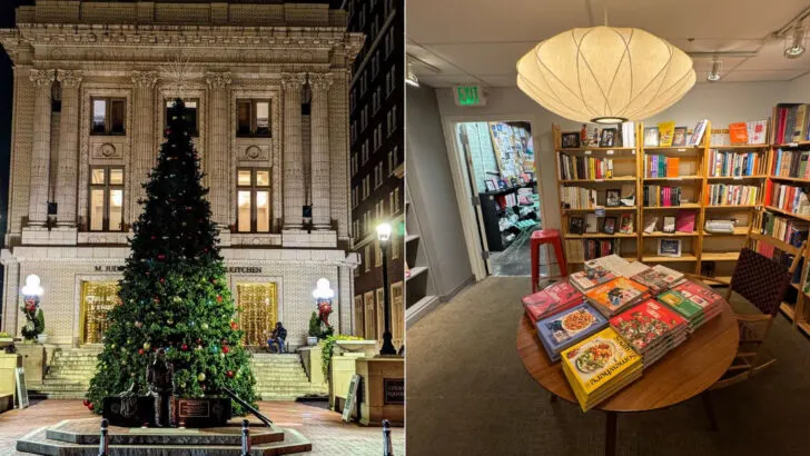 11 South Carolina Bookstores That Feel Easy to Spend Hours Inside