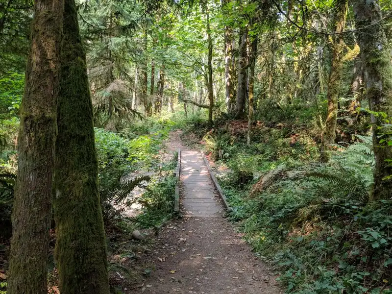 Squak Mountain State Park
