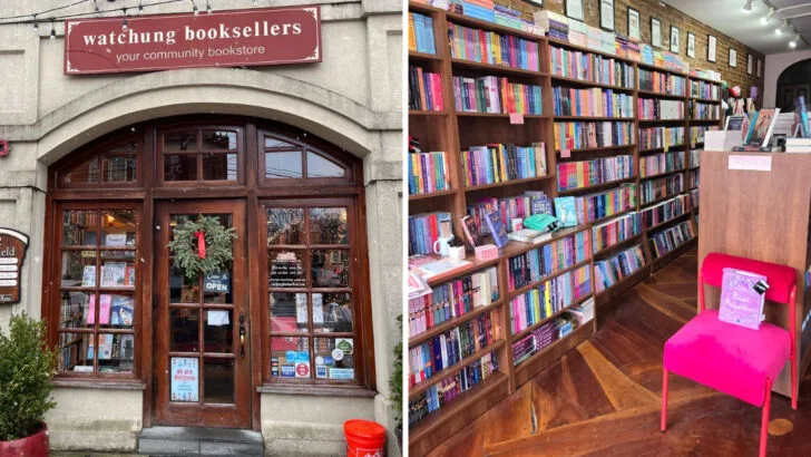 12 New Jersey Bookstores With Enough Shelves to Get Lost In