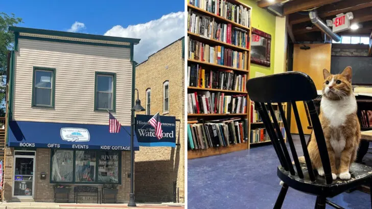 12 Wisconsin Bookstores That Make Time Disappear