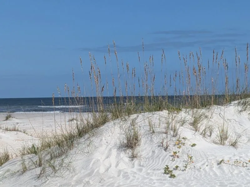 Anastasia State Park Campground &mdash; St. Augustine, Florida
