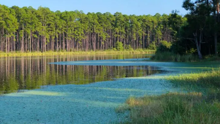 13 Pensacola-area spots that feel more like Alabama than Florida