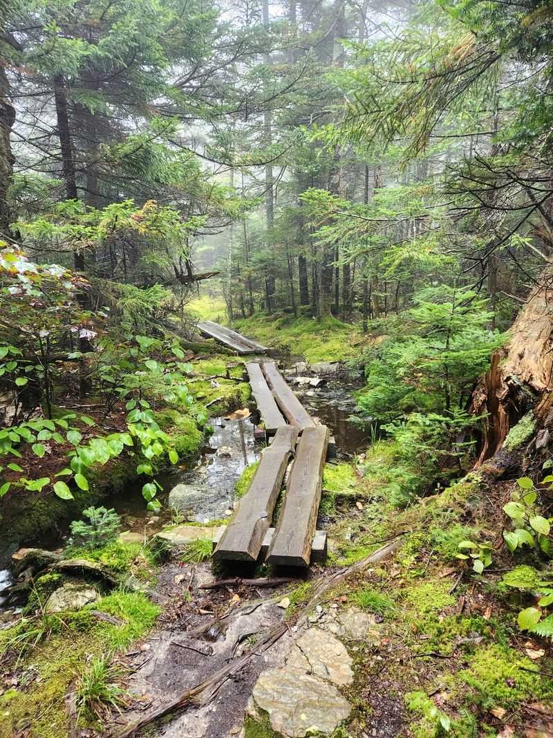 Mount Greylock State Reservation