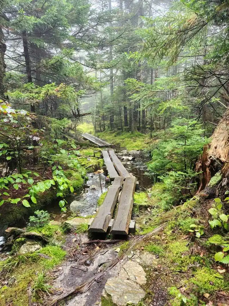 Mount Greylock State Reservation
