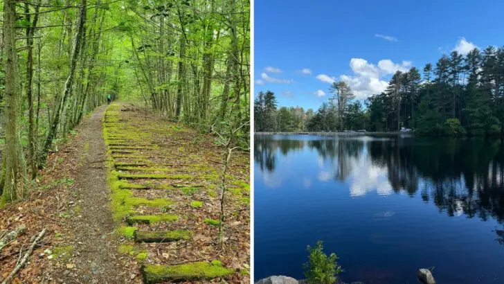 13 fascinating Massachusetts state parks beyond the usual favorites