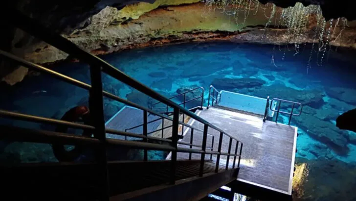 14 Dreamlike Springs in Florida That Feel Almost Unreal