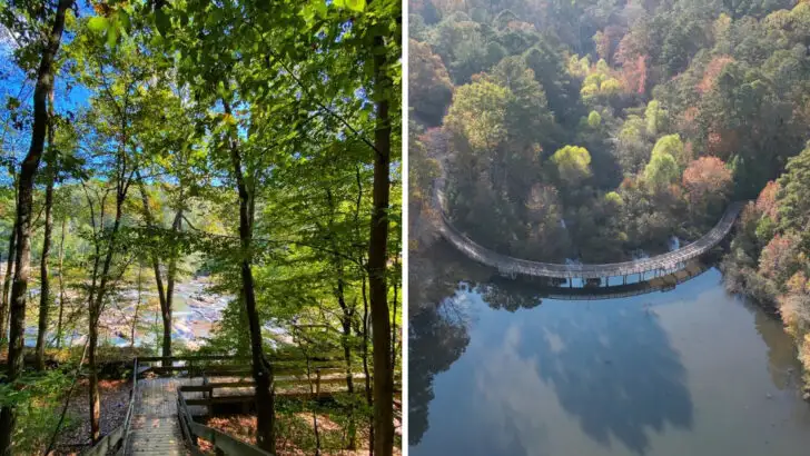 14 Georgia state parks with the kind of views people expect from national parks