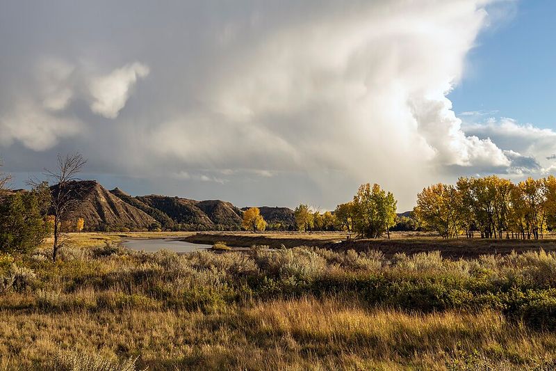 Theodore Roosevelt National Park