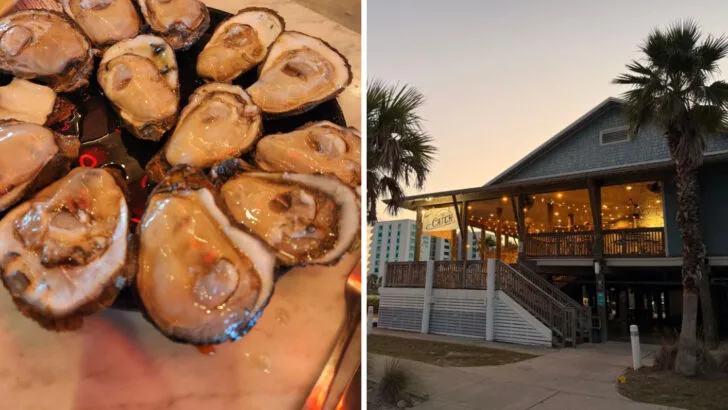 14 tiny seafood spots in Alabama locals insist are worth the miles