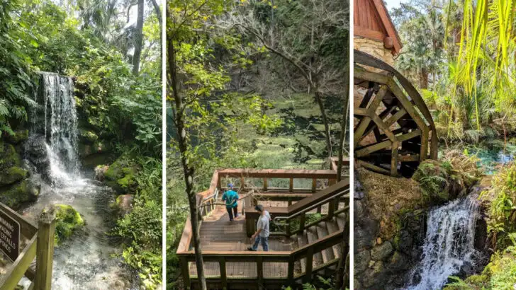 14 waterfalls across Florida that most visitors overlook