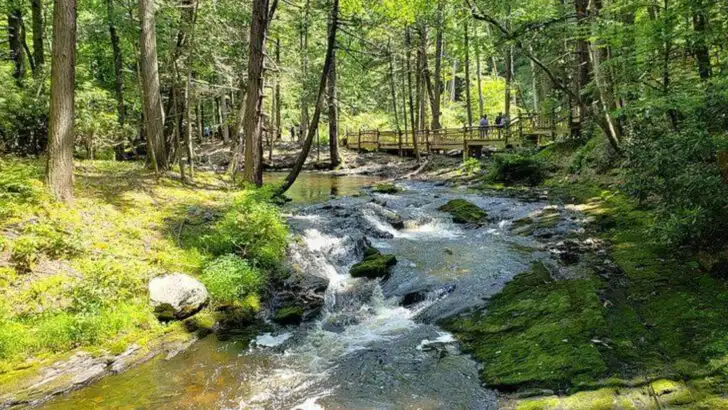 15 Natural Wonders in Pennsylvania That Feel Almost Unreal in Person