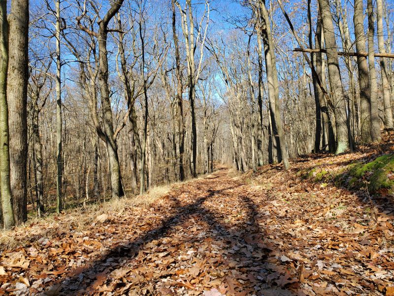 Fall Foliage Road Trip Through the Laurel Highlands