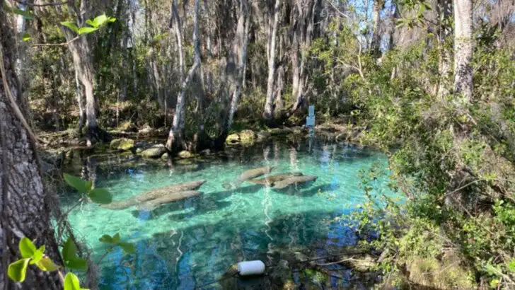 21 places in Florida that feel especially rewarding to visit in 2026