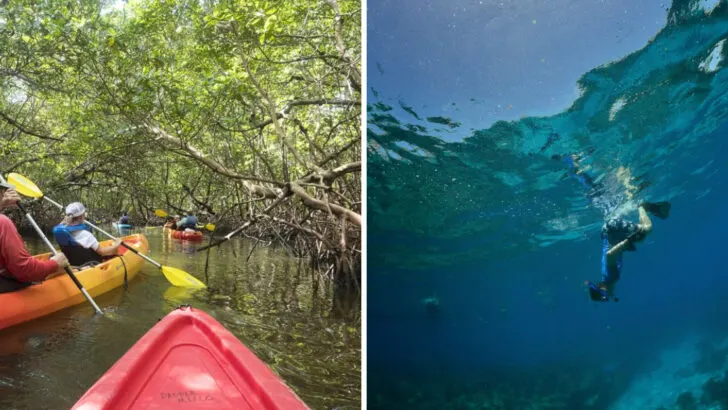 25 memorable things to do across the Florida Keys from Key Largo to Key West