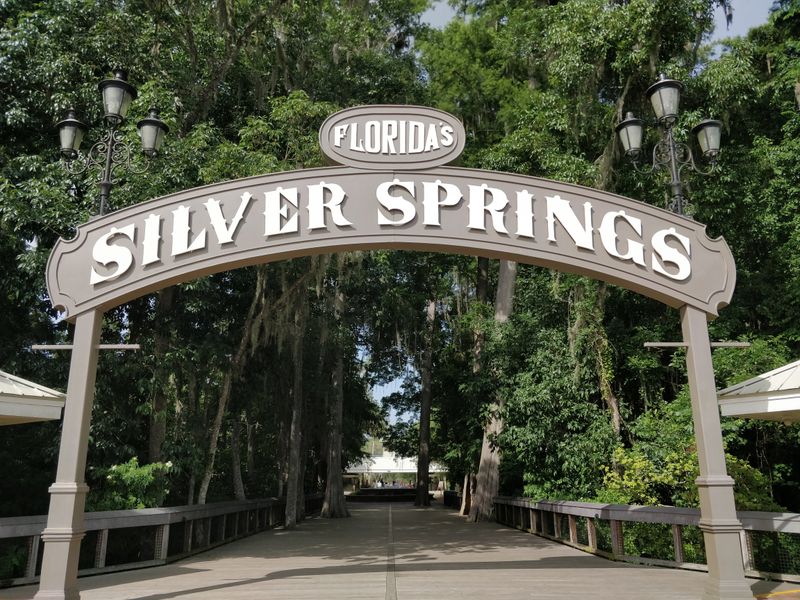 Silver Springs State Park (Ocala)