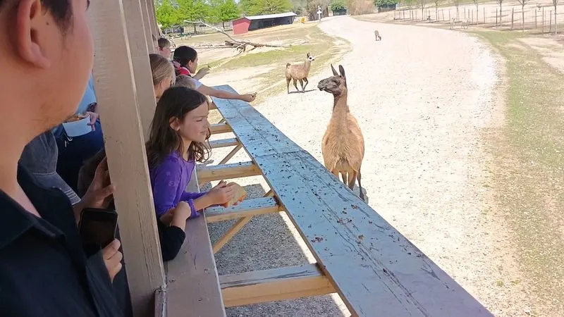 Feeding buckets and pro tips
