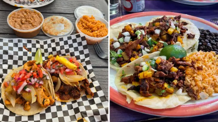 9 Washington Restaurants Where the Fish Tacos Alone Justify the Drive