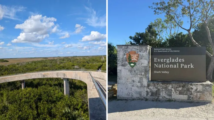 A 15-mile bike trail in Florida offers a front-row view of the Everglades