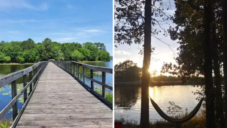 A 2,050-acre Alabama state park that feels almost unreal in person