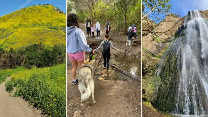 A 3.5-mile trail in California where the payoff is a stunning waterfall