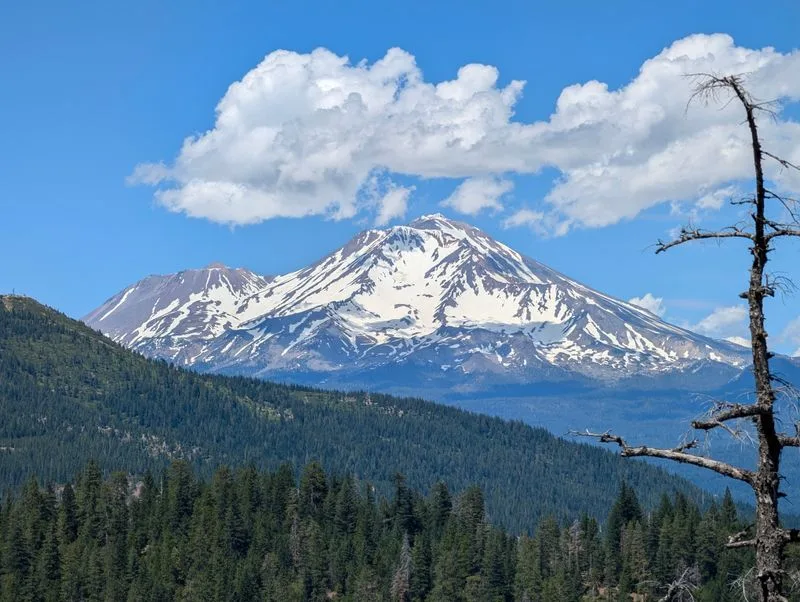 A Landscape That Looks Painted