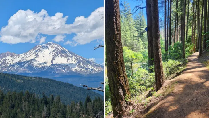 A California state park so picture-perfect it barely feels real
