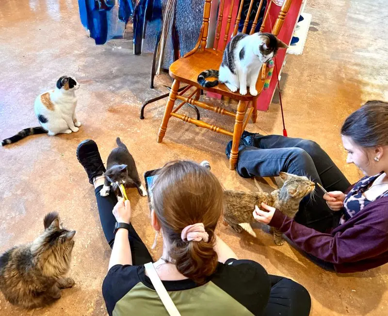 Overview and vibe: sanctuary with a latte