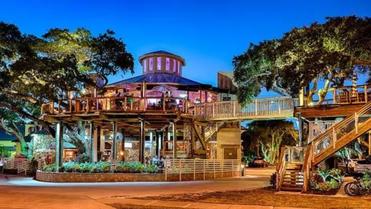 A Florida restaurant built inside a massive tree house feels straight out of a dream