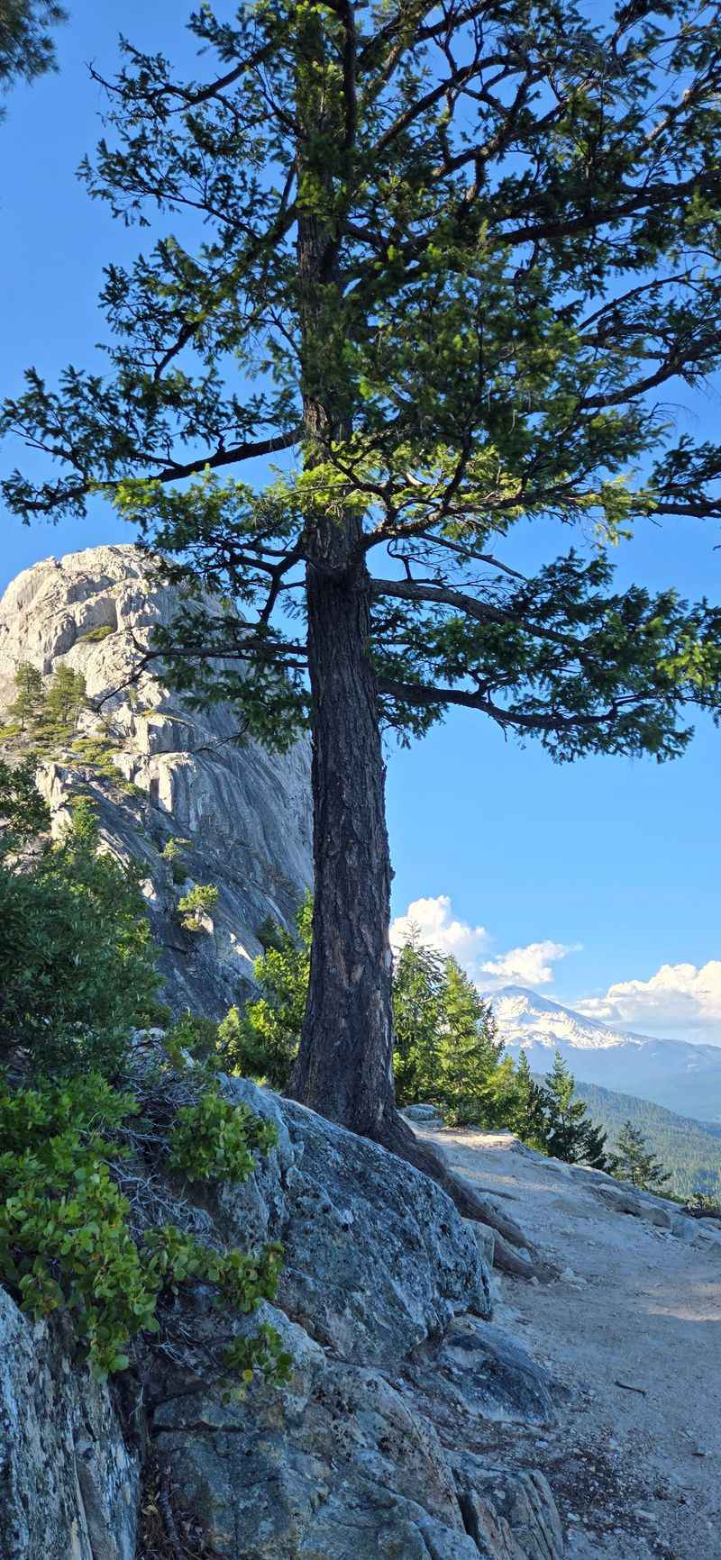 Best Times to Visit for Maximum Beauty