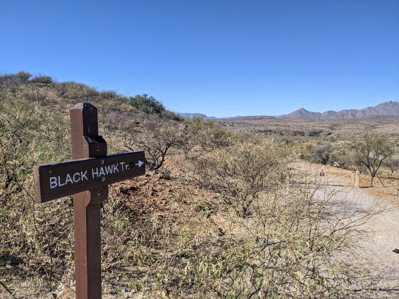 Scenic Trails Made for Slow Exploration