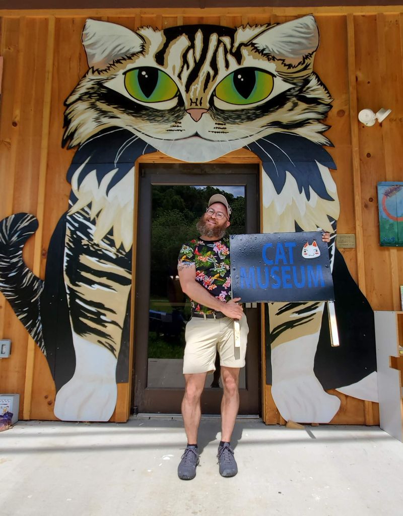 The Carousel of Curiosities