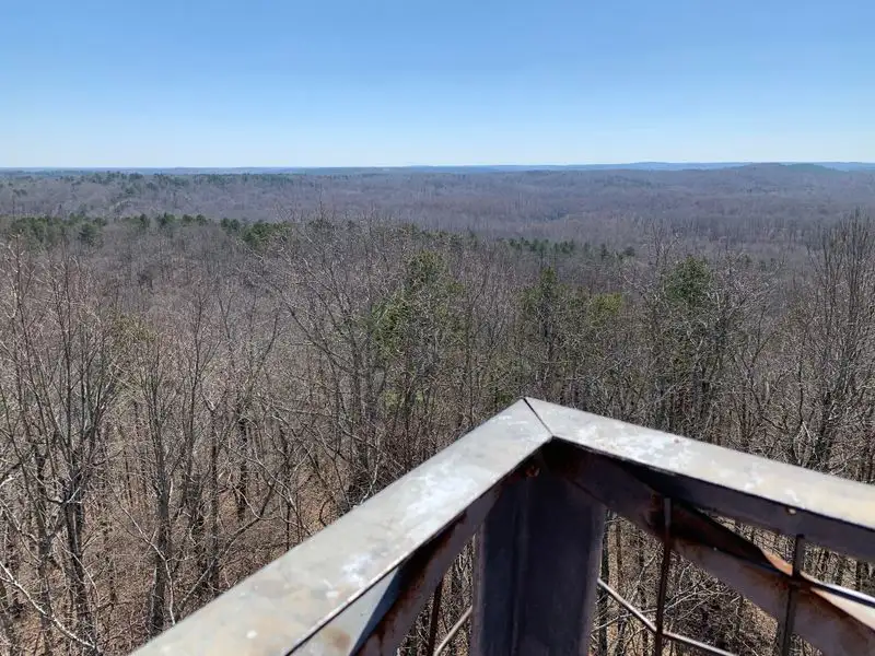 A Landscape That Feels Unreal