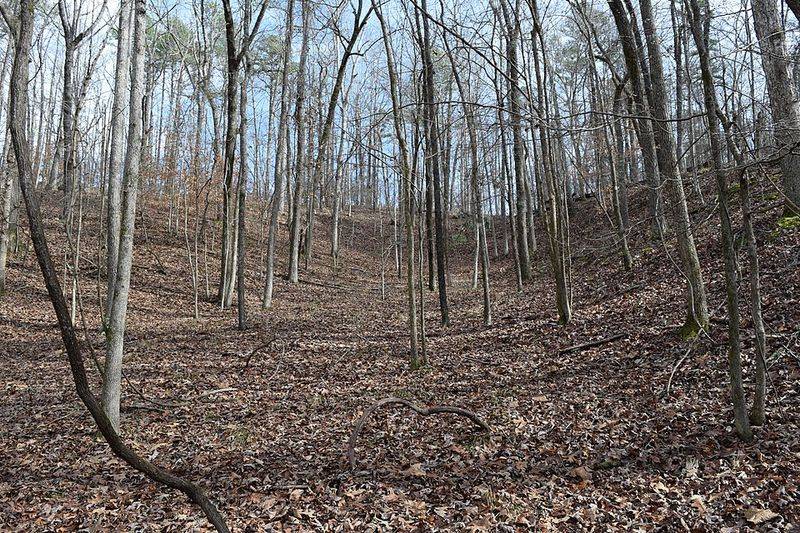 Why Big Hill Pond Feels Too Perfect to Be Real