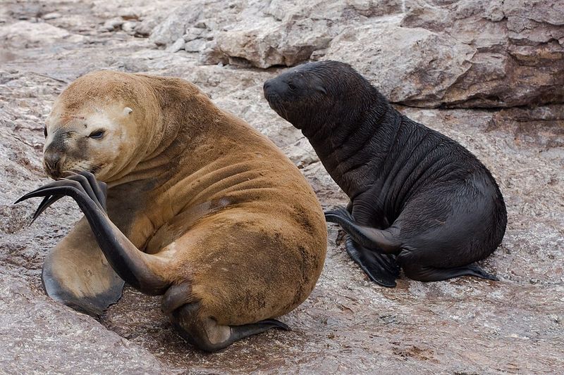 Environmental Stewardship