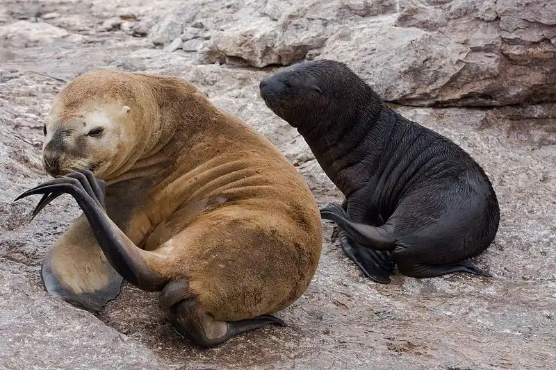 Environmental Stewardship