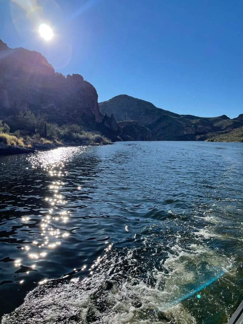 Seasonal Beauty on the Water