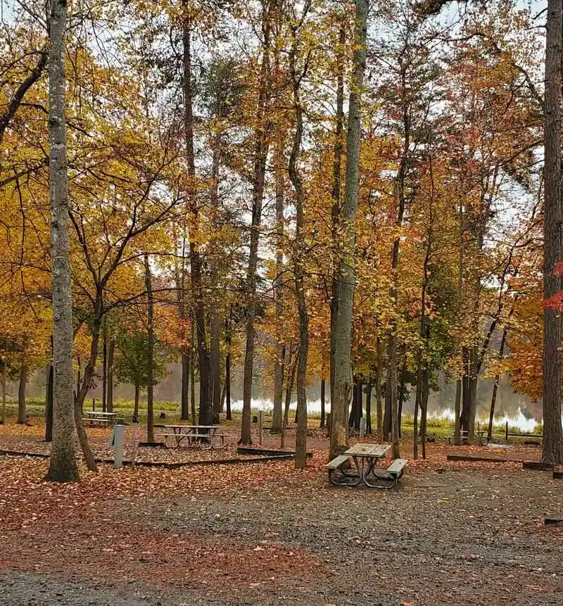 Comfortable Climate for Year-Round Living