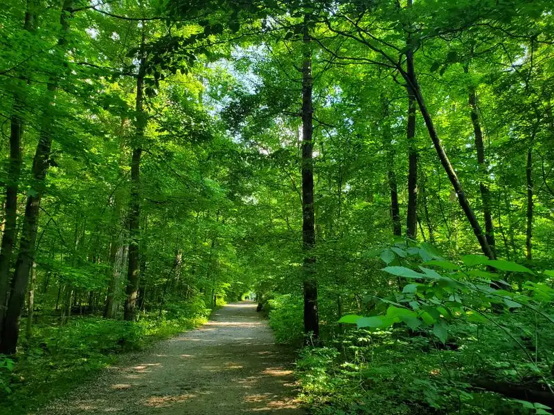 Where the Trail Is Located