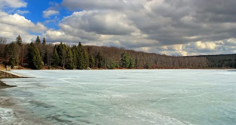 Artistic Inspirations