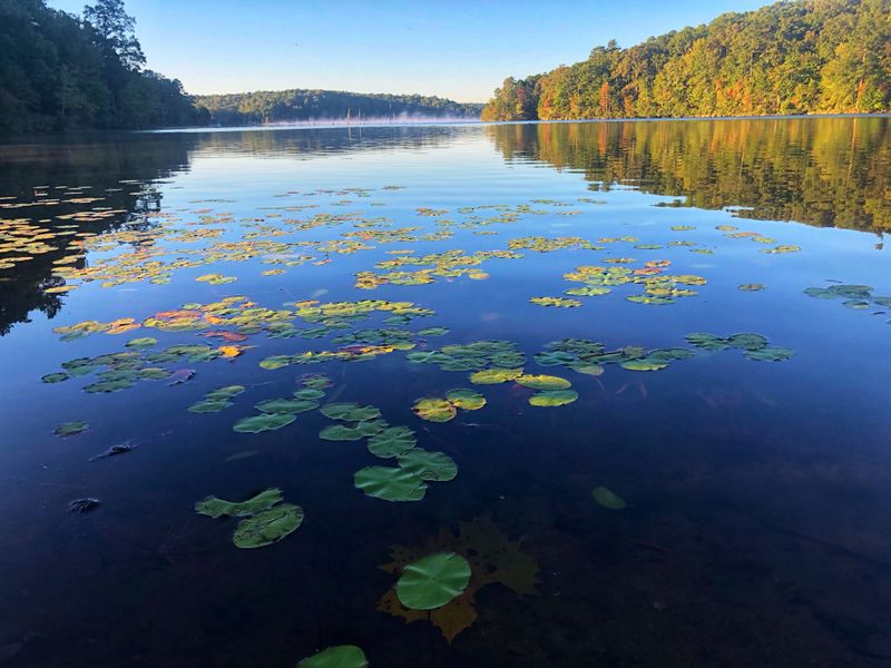 A Hidden Gem in West Tennessee