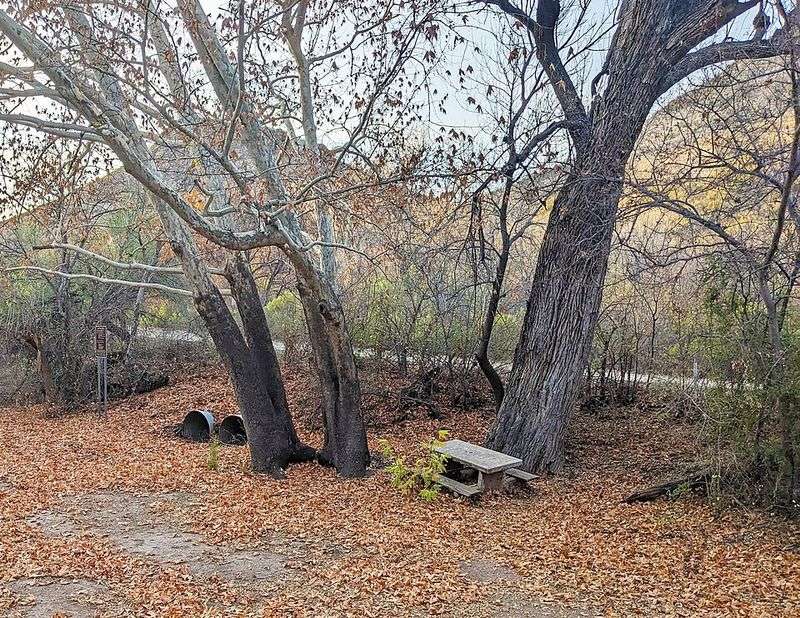 A Hub for Birdwatchers