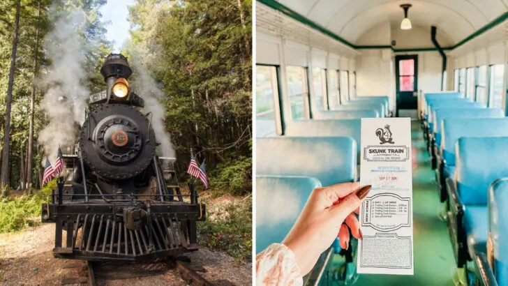 A Vintage Train Journey Through California&rsquo;s Redwood Country
