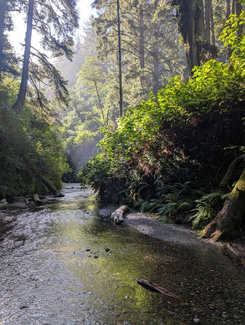 Location and Accessibility