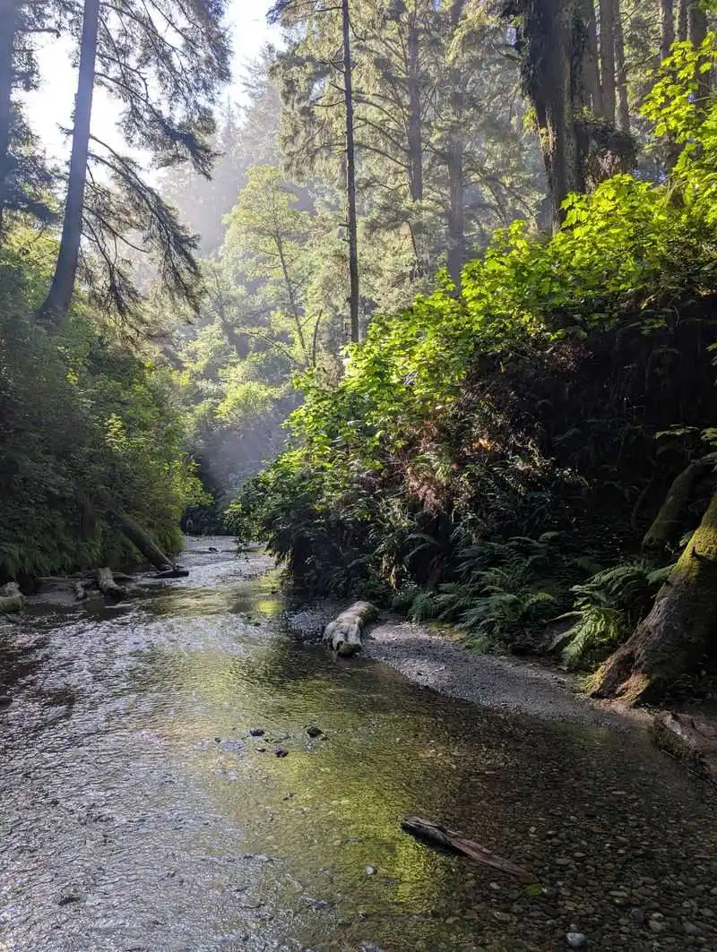 Location and Accessibility