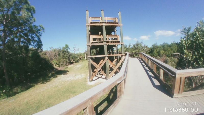 The Observation Tower