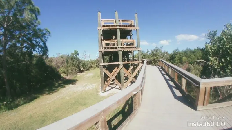 The Observation Tower