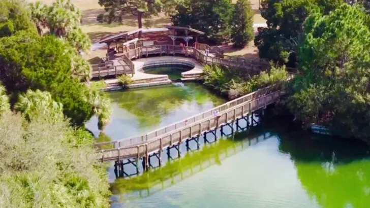 A beginner-friendly trail at Wall Springs Park leads to some of Florida&rsquo;s best views