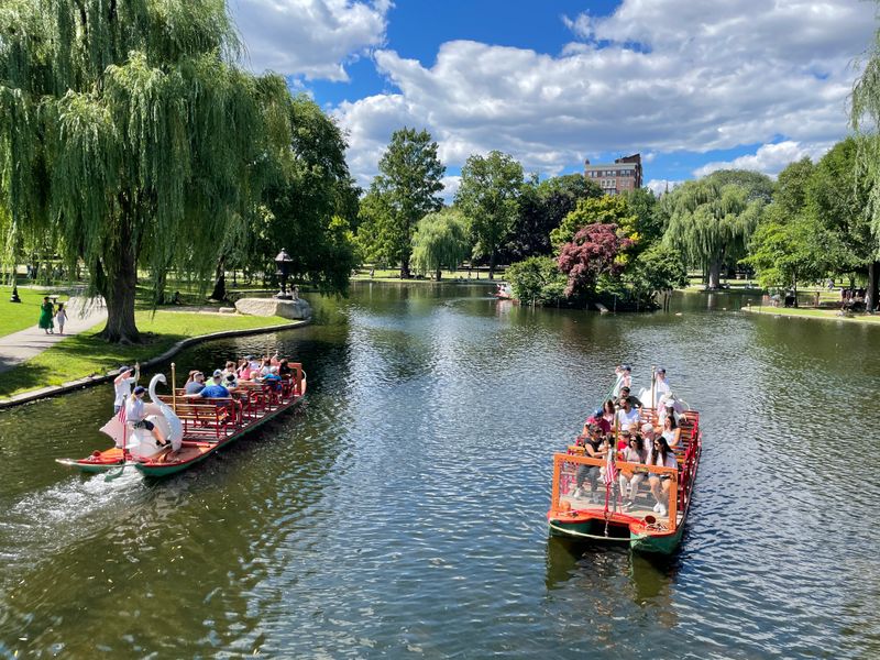 Where to find them and how the ride works